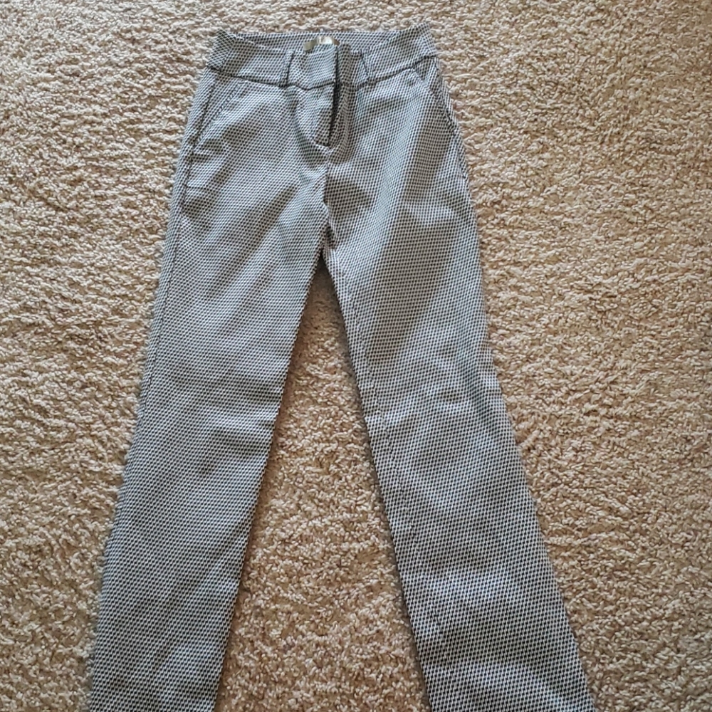 Dress Pants